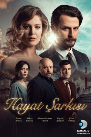 Песня жизни постер